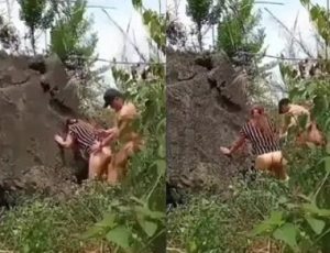 Nện nhau trong khu rừng sung sướng
